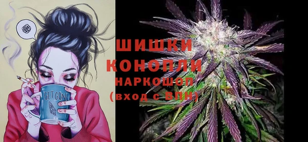 сатива Арсеньев