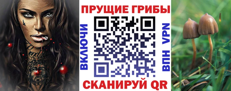 Купить где  Костомукша  Псилоцибиновые грибы прущие грибы 